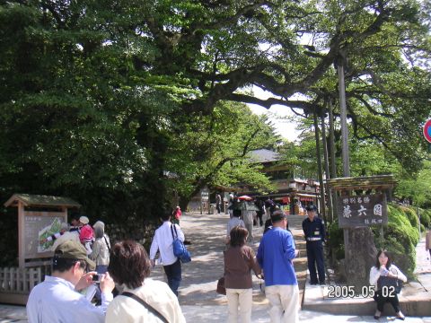 s_pict0097.jpg